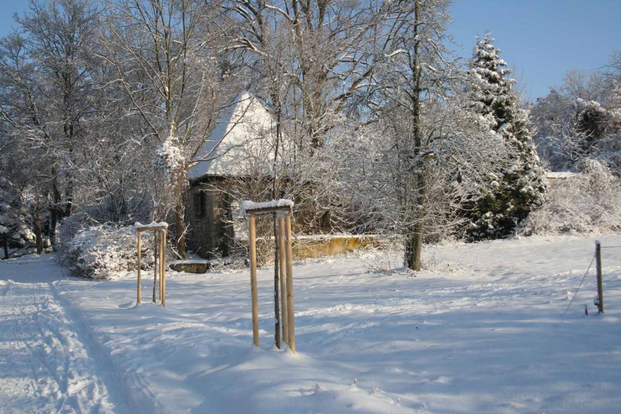 Hotel Und Restaurant Rittergut Kreipitzsch ناومبورغ المظهر الخارجي الصورة