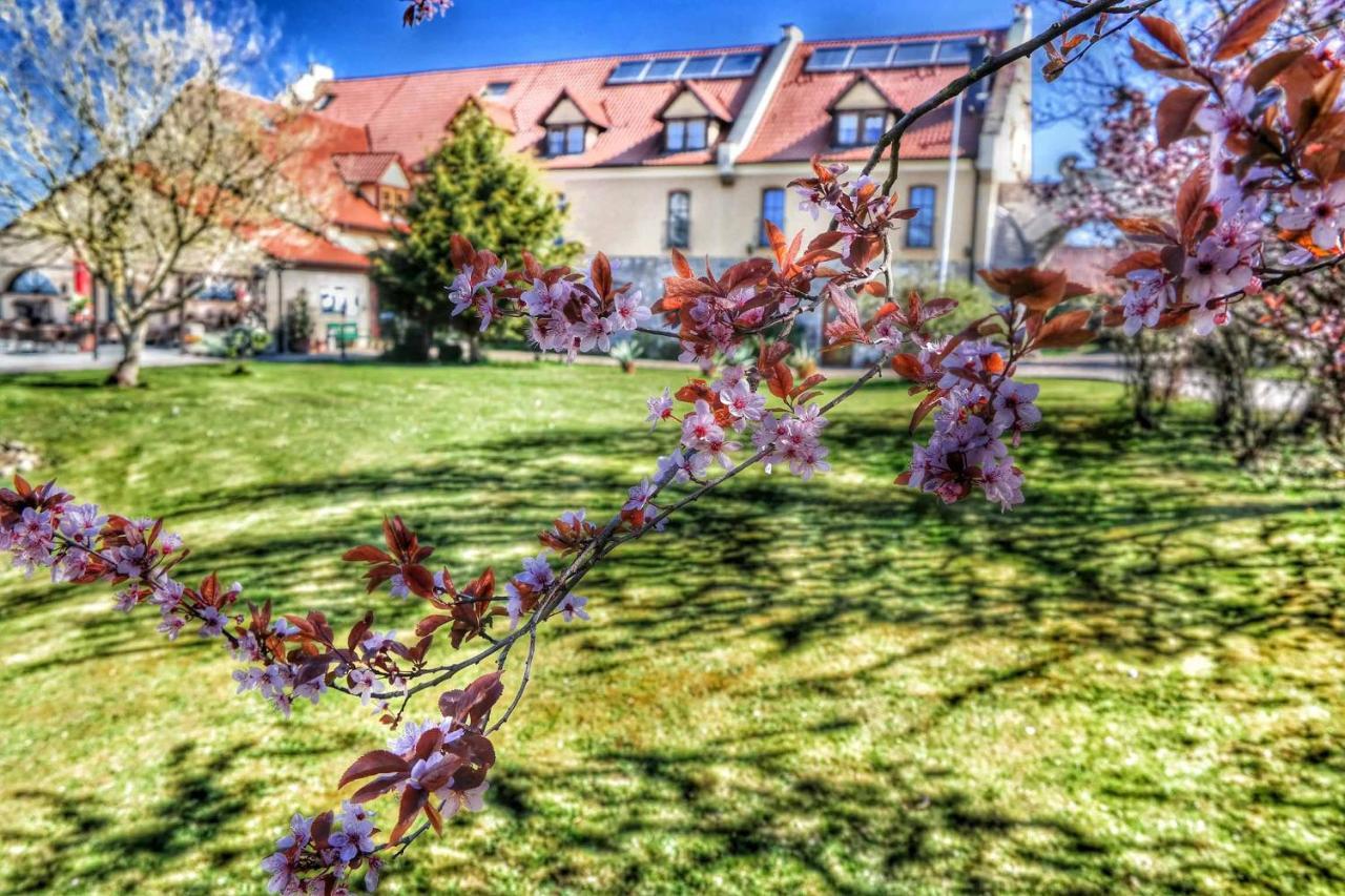 Hotel Und Restaurant Rittergut Kreipitzsch ناومبورغ المظهر الخارجي الصورة